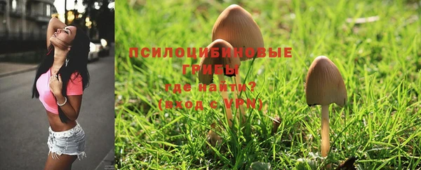 jwh Бронницы