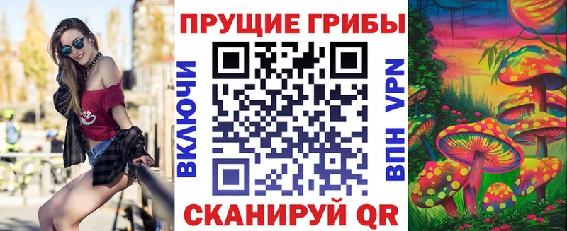 MEGA маркетплейс  дарнет шоп  Динская  Галлюциногенные грибы Psilocybe 